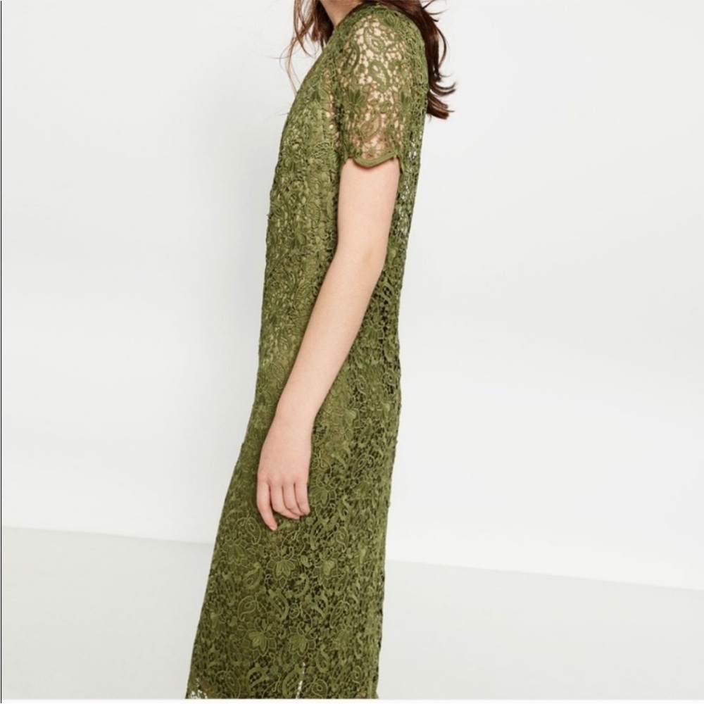 Zara Olive Green Lace Dress